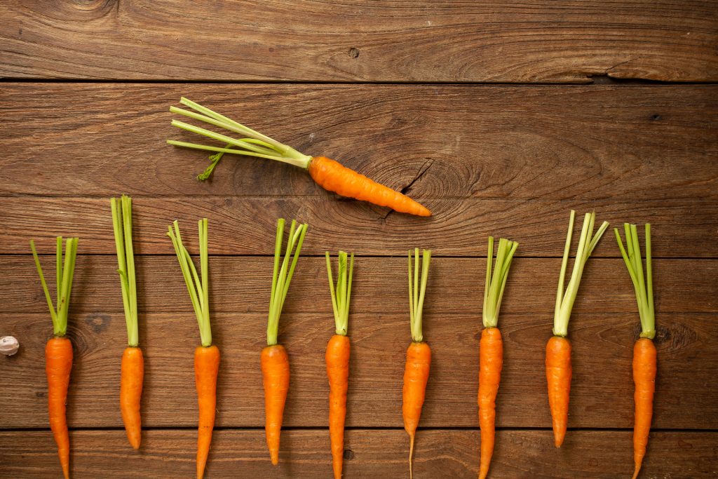 Zanahorias